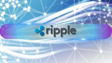 ريبل (XRP) تسجل قفزة هائلة في شبكتها: إليك المستوى الأهم الآن