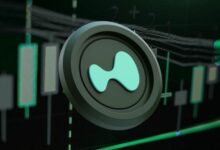 حوت HYPE يحقق أرباحًا بـ58 مليون دولار مع صفقة شراء بـ111 مليون دولار وما زال متمسكًا بها