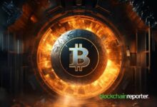 بيتكوين الهادئ يدفع رأس المال المخاطر نحو صفقات العملات البديلة عالية العائد