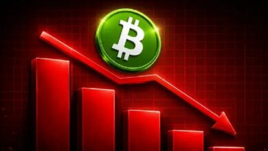 بيتكوين ينخفض دون 77,000 دولار مع تصفية مراكز رافعة مالية بقيمة 478 مليون دولار