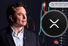 "XRP في الصدارة بلا شك" إذا لفت انتباه إيلون ماسك، حسبما يقول كبير المهندسين