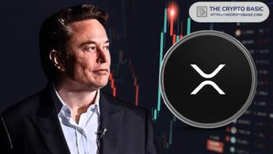 "XRP في الصدارة بلا شك" إذا لفت انتباه إيلون ماسك، حسبما يقول كبير المهندسين