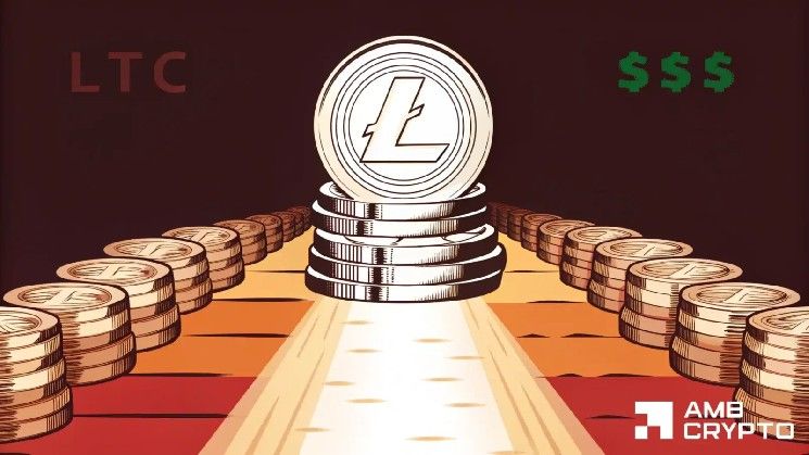 لايتكوين يواصل الصعود رغم شطب بينانس الأخير — التفاصيل