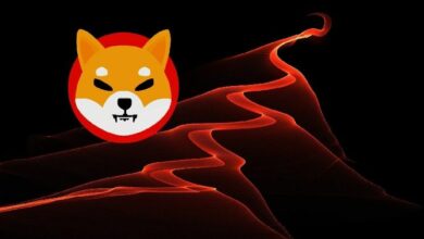هل تم اختراق حساب Shiba Inu (SHIB)؟ نشاط مريب على منصات التواصل يثير قلق المجتمع