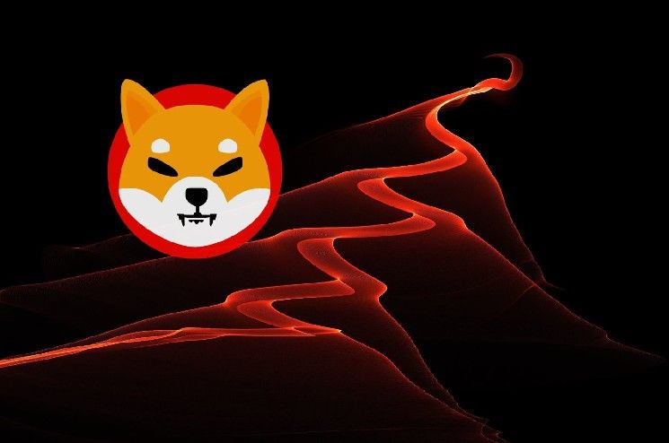 هل تم اختراق حساب Shiba Inu (SHIB)؟ نشاط مريب على منصات التواصل يثير قلق المجتمع