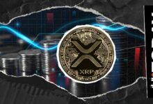 نشاط شبكة XRP يرتفع بنسبة 84% في أغسطس