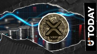 نشاط شبكة XRP يرتفع بنسبة 84% في أغسطس