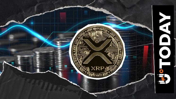 نشاط شبكة XRP يرتفع بنسبة 84% في أغسطس