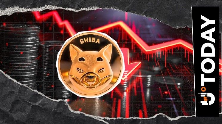 145 مليار SHIB جاهزة للبيع: تدفق شيبا إينو الصافي يتحول إلى هبوطي
