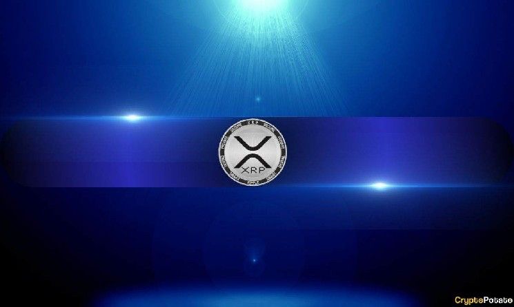 خبير: إعادة تسعير كبيرة لـ XRP قد تبدأ خلال الأشهر المقبلة
