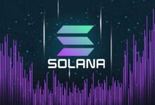 سولانا تقترب من التوقف بنسبة 86% مع تعطل 28% من الحصة