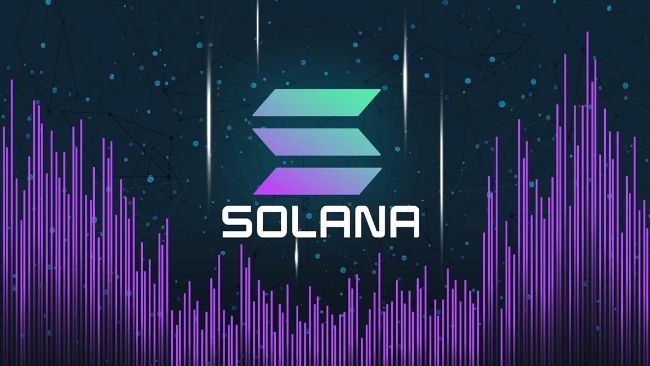 سولانا تقترب من التوقف بنسبة 86% مع تعطل 28% من الحصة