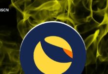 داخل آلية حرق ضريبة لونا الكلاسيكية التي يديرها المجتمع: هل ينجح حرق المعروض الميت حقًا؟