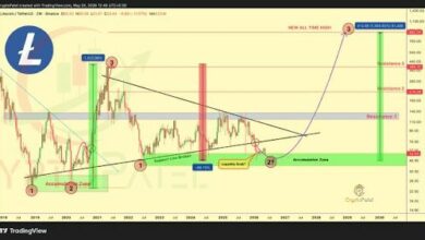 لايت ستراتيجي تعيد شراء أسهم بقيمة 5.4 مليون دولار عبر مبيعات لايتكوين وخيارات الكول المغطاة