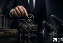 صناديق XRP المتداولة تجذب 153 مليون دولار في 9 أيام – هل ما زالت الدورة الفائقة حية؟
