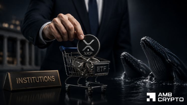 صناديق XRP المتداولة تجذب 153 مليون دولار في 9 أيام – هل ما زالت الدورة الفائقة حية؟