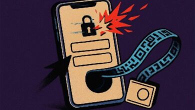 احتيال جويل باغ بالعملات الرقمية ينكشف: 580,000 ملف تعريف مسروق خلف بورصات وهمية