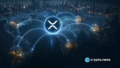 XRP يستعد لأسبوع حاسم بينما يتحدث رئيس Ripple في وايومنج