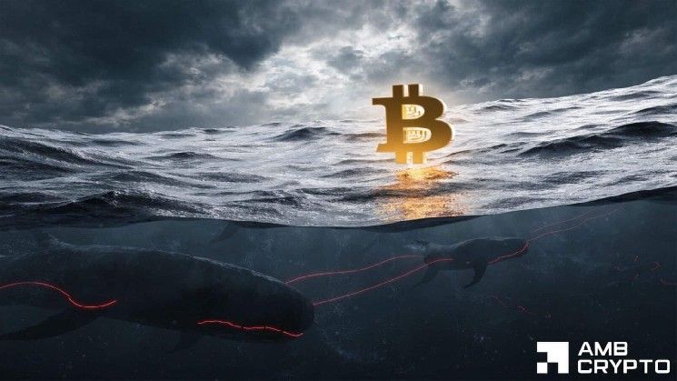 هل تقترب انفجارية سعرية لبيتكوين مع ارتفاع العقود المفتوحة وسط طلب ضعيف؟