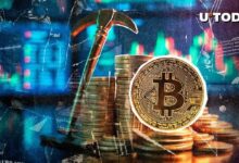تناقض بيتكوين عند 65,000 دولار: لماذا تنخفض إيرادات رسوم المعدنين إلى مستويات 2019
