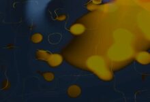 أنابيل سبرينغ من Allfunds ترى تعزيزاً للترابط بين