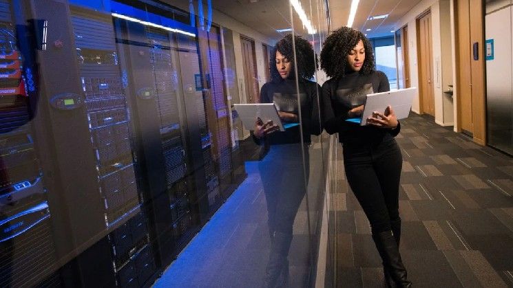 بولونيكس تثير اهتمام المستثمرين بعملات الميم من خلال تغريدة مجتمعية