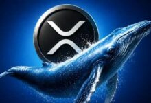 "لم يعد لديهم وقت للانتظار": الرئيس التنفيذي لـ Evernorth عن تحوّل وول ستريت المفاجئ نحو XRP بعد عقد من التردد