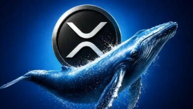 "لم يعد لديهم وقت للانتظار": الرئيس التنفيذي لـ Evernorth عن تحوّل وول ستريت المفاجئ نحو XRP بعد عقد من التردد