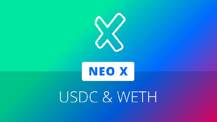 USDC وWETH يصلان إلى Neo X عبر جسر Transporter المدعوم من Chainlink CCIP