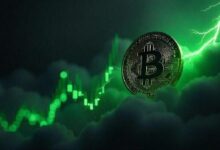 بيتكوين يعود بقوة ليكسر حاجز 80,000 دولار: ما الذي أشعل هذا الانتعاش؟