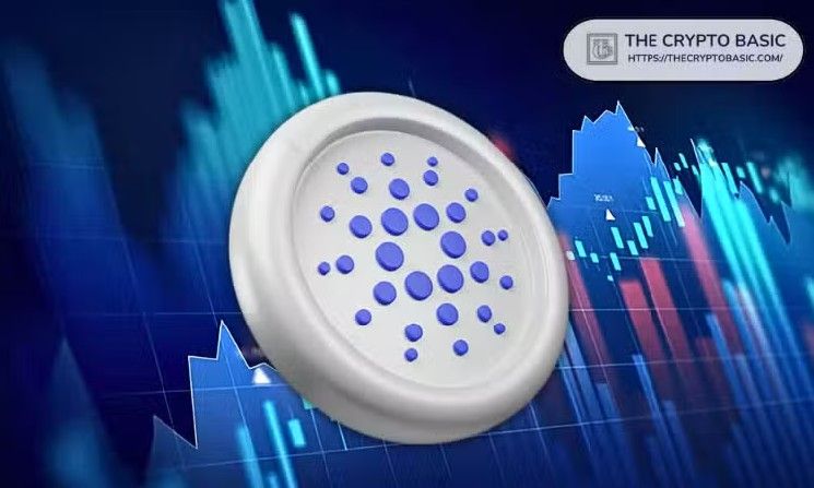 كاردانو: ميدنايت تتجاوز 2 مليار عملية استرداد لرموز NIGHT مع بدء فترة الذوبان النهائية