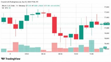 بيتكوين يقاوم الانخفاض نحو 76 ألف دولار، والمحللون يحددون منطقة الشراء التالية عند 74 ألف دولار