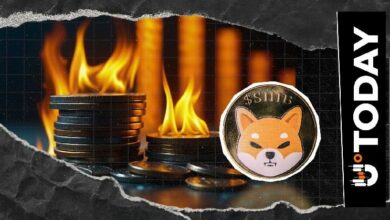 بطء إحراق SHIB: 3.59 مليون فقط في بداية سبتمبر