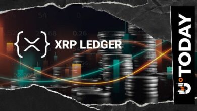 رقم قياسي جديد لـ XRP: التحقق من 2,713 معاملة في دفتر أستاذ واحد