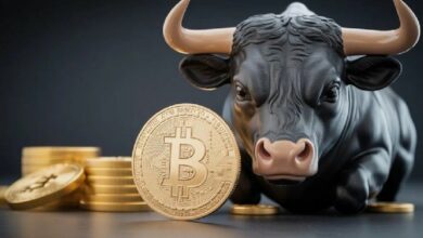 من أين سيأتي موجة الصعود التالية للبيتكوين والعملات البديلة؟ وينترميوست解釋: الأنظار تتجه نحو قطاع الـ300 مليار دولار!