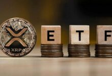 صندوق Bitwise المتداول لـ XRP يتجاوز 500 مليون دولار في أشهر معدودة