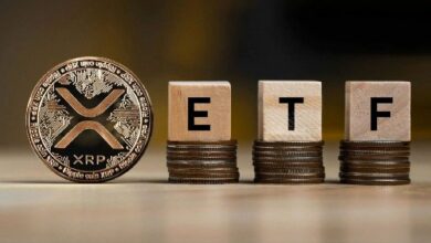 صندوق Bitwise المتداول لـ XRP يتجاوز 500 مليون دولار في أشهر معدودة