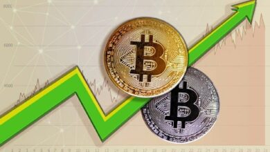 مفارقة بيتكوين: لماذا تشير خسائر كبار الحائزين إلى قاع السوق؟
