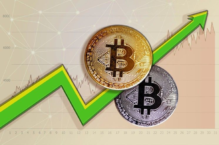 مفارقة بيتكوين: لماذا تشير خسائر كبار الحائزين إلى قاع السوق؟
