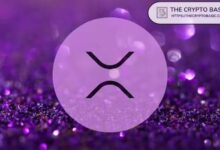 XRP تسجل أكبر تدفق للأصول الواقعية في 2026 بين جميع الشبكات بقيمة 3.6 مليار دولار