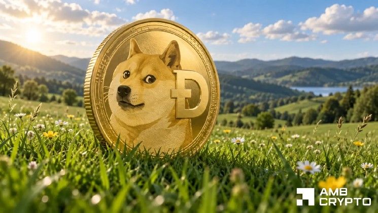 ارتفاع سعر Dogecoin بنسبة 3%—لكن مستوى 0.09 دولار لا يزال عقبة أمام المزيد من الصعود
