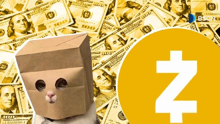 ما هو أنونيموس كات (ZCAT)؟ داخل عملة الميم التي تدفع لحامليها بعملة Zcash