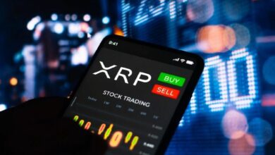 نقطة ارتكاز XRP: لماذا يعد مستوى 1.25 دولار الأهم قبل 15 سبتمبر