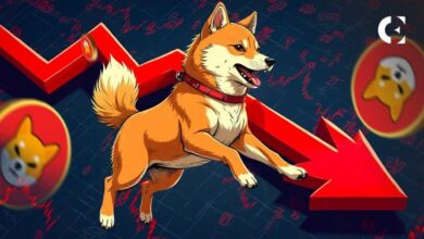 تحليل سعر SHIB: خروج 125 مليار توكن من BitGo مع اختبار SHIB دعم 0.00000515 دولار