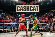 CASHCAT تنخفض 16% – لكن هذا المؤشر يبشّر بالخير للثيران