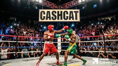 CASHCAT تنخفض 16% – لكن هذا المؤشر يبشّر بالخير للثيران