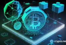 حادثة أوراكل Vesu تتسبب في تصفيات بقيمة 3 ملايين دولار