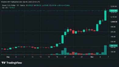 ملخص الأسبوع في العملات الرقمية: بيتكوين يرتفع وسط مكاسب قوية لـ ZEC
