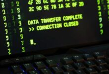 بينما كانت وول ستريت مغلقة، شهدت يونيسواب تداولات تتجاوز 500 مليون دولار من التوكنات
