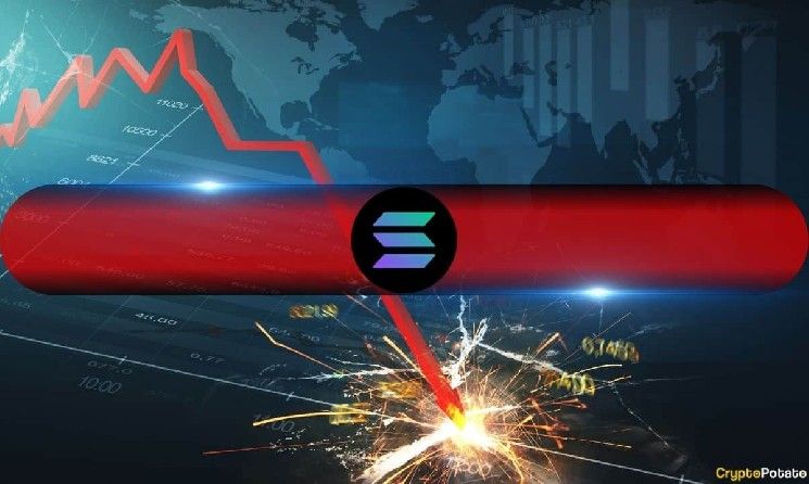 هل تصحيح سولانا (SOL) أم مجرد هبوط مؤقت؟ إليك لماذا لا يستسلم المضاربون على الصعود